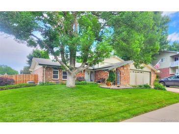 Charming brick home featuring a lush lawn, mature tree, and inviting curb appeal at 8561 E Grand Ave, Denver, CO 80237