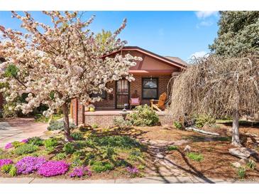 Charming brick home with a landscaped front yard featuring a flowering tree and colorful garden at 1439 S Emerson St, Denver, CO 80210