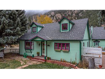 Charming turquoise and pink home with mature trees and mountain views at 814 Rose St, Georgetown, CO 80444