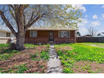 Charming single-story home with brick accents and inviting front yard landscaping at 1536 S Field Ct, Lakewood, CO 80232
