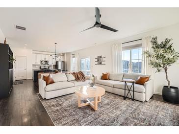 Bright living room with stylish furnishings, including two sofas, a round table and a decorative rug at 3549 Swabuck Pl, Castle Rock, CO 80109