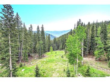 Expansive backyard with lush greenery and mature trees, offering a private and serene outdoor space at 1176 Raven Ridge Rd, Idaho Springs, CO 80452