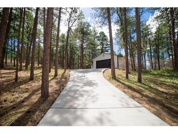 Long concrete driveway leads to a modern detached garage, surrounded by tall trees at 14546 Pine View Rd, Larkspur, CO 80118