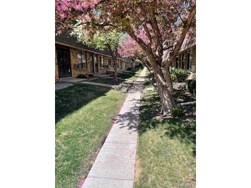 Inviting walkway lined with blossoming trees leading to the charming building entrance at 1731 Quail St, Lakewood, CO 80215