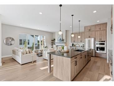Open-concept living room and kitchen with stainless steel appliances, island, and bright natural light at 1426 Swan Peter Dr, Berthoud, CO 80513