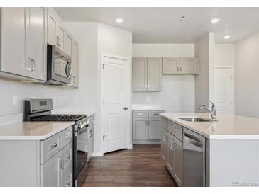 Modern kitchen featuring stainless steel appliances, gray cabinets, and a spacious countertop at 2169 Flower Blossom Ave, Brighton, CO 80601