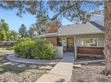 Charming single-Gathering home with a brick chimney, walkway, and well-maintained landscaping at 3002 E Long S Cir, Centennial, CO 80122