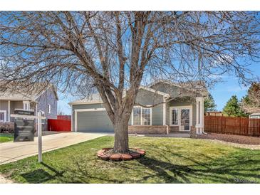 Charming home with well-maintained front yard and large tree offering shade and curb appeal at 971 Parsons Ave, Castle Rock, CO 80104