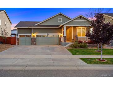 Charming single-story home boasts a well-manicured lawn and a welcoming front porch at 10049 Isle St, Parker, CO 80134