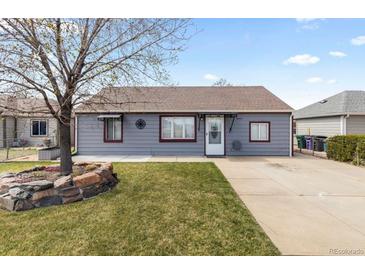 Charming single-story home with a well-maintained lawn and quaint landscaping at 4849 N Cook St, Denver, CO 80216