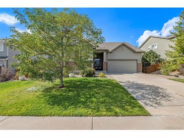 Charming single-Gathering home featuring a well-manicured lawn and mature tree at 2333 Paint Pony Cir, Castle Rock, CO 80108