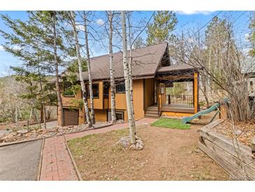 Charming brown two-story home with a quaint front yard and a delightful slide at 13609 Elsie Rd, Conifer, CO 80433