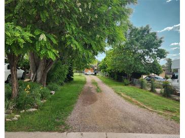 Long gravel driveway lined with mature trees and lush landscaping leading to a home at 5870 Nelson Ct, Arvada, CO 80004