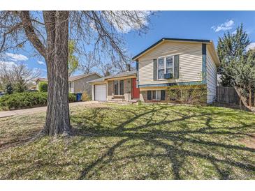Charming split-level home featuring a well-maintained lawn and mature tree at 2155 S Lewiston St, Aurora, CO 80013
