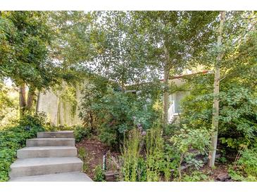 Charming home entrance featuring concrete steps and surrounded by lush greenery and mature trees at 8888 W 37Th Pl, Wheat Ridge, CO 80033