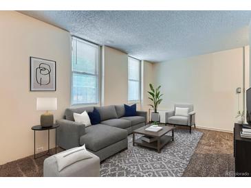 Inviting living room features a comfortable grey sectional sofa, decorative rug, and modern accents at 2225 Buchtel Blvd # 105, Denver, CO 80210