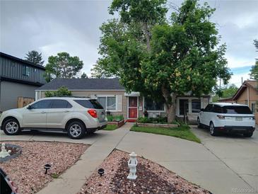 Charming single-story home featuring a well-manicured front yard, a large tree, and a vibrant red front door at 3011 S Dexter Way, Denver, CO 80222
