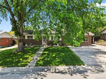 Charming brick home featuring a well-maintained front yard and mature trees that provide ample shade at 1373 S Cape Way, Lakewood, CO 80232