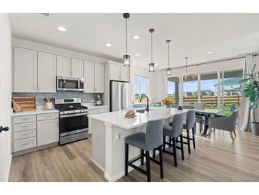 Bright open kitchen with stainless appliances, island seating, and adjacent dining area at 21 N Edge Cliff St, Castle Rock, CO 80104