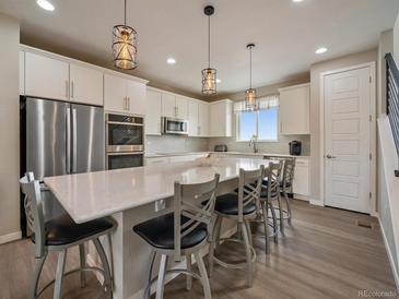 Bright kitchen featuring a large island with pendant lighting and stainless steel appliances at 2468 Channel Dr, Highlands Ranch, CO 80129