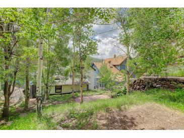 Property backyard showcasing aspen trees and views at 1324 Virginia St, Idaho Springs, CO 80452