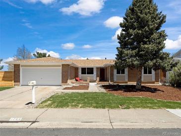 Charming single-story brick home featuring a manicured lawn, mature tree, and a two-car garage at 1246 S Routt Way, Lakewood, CO 80232