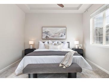 Relaxing bedroom featuring a tray ceiling, a serene art piece, and plush bedding, creating a peaceful retreat at 8183 S Yosemite Ct, Centennial, CO 80112