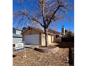 Charming single-story home featuring an attached garage and a well-maintained front yard with a beautiful tree at 9530 Devon Ct, Highlands Ranch, CO 80126