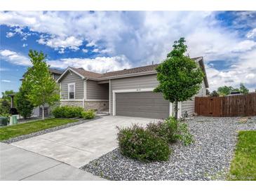 Charming single-Gathering home featuring a manicured front yard and neutral gray siding at 612 Blue Teal Dr, Castle Rock, CO 80104