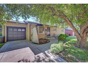 Charming brick home featuring an attached garage, mature tree, and a well-maintained front yard at 6054 Iris Way, Arvada, CO 80004