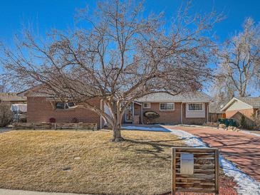 Brick ranch home with mature tree, landscaped yard, and paved driveway at 2525 Nelson St, Lakewood, CO 80215