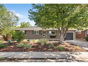 Charming brick home with a well-manicured front yard and mature tree at 2432 S Newport St, Denver, CO 80224