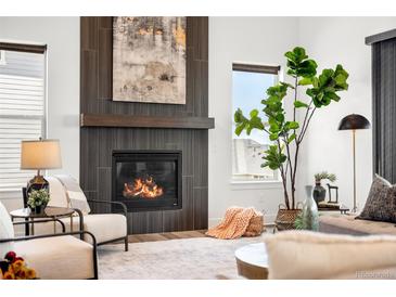 Elegant living room features a cozy fireplace and a large painting above the mantel at 16262 W 95Th Ln, Arvada, CO 80007