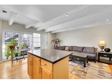 Inviting living room featuring an island, modern lighting, and hardwood floors at 33 Corona St # 207, Denver, CO 80218