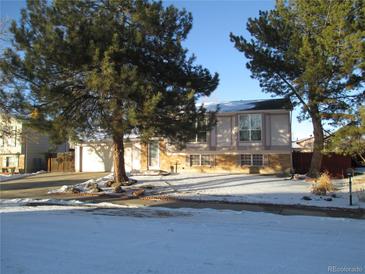 Brick house with snow-covered yard and mature trees at 2603 W 100Th Pl, Federal Heights, CO 80260