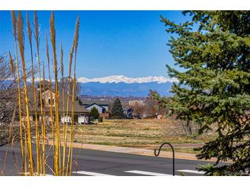 Scenic street view with mountain backdrop and charming neighborhood setting on a clear sunny day at 551 Rio Rancho Way, Brighton, CO 80601
