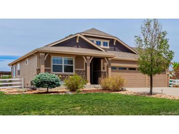 Charming two-story home featuring a well-manicured lawn, tasteful landscaping and a two car garage at 10653 E 163Rd Ct, Brighton, CO 80602