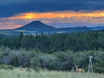 Beautiful mountain view with deer grazing in the foreground at sunset at 5800 Elk View Ct, Larkspur, CO 80118