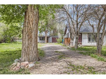 Charming exterior view featuring a gravel driveway and mature trees surrounding the home at 1115 W Quincy Ave, Englewood, CO 80110