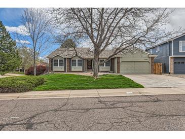 Charming home with a large tree in the front yard, lush green lawn, and a two-car garage at 6376 S Pierson St, Littleton, CO 80127