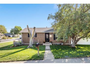 Charming brick home features a well-manicured front lawn and inviting walkway at 7790 Kendall St, Arvada, CO 80003