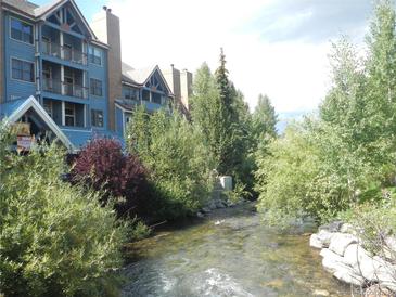 Scenic exterior view of a blue condo building alongside a stream surrounded by lush green trees and shrubs at 100 S Park Ave # E321, Breckenridge, CO 80424