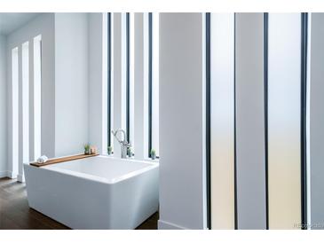 Modern bathroom featuring a sleek tub, stylish faucet, and natural light from vertical windows at 8765 Canyon Wind St, Parker, CO 80138