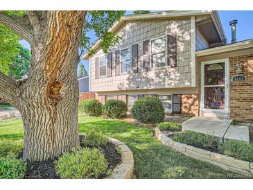 Charming home with a landscaped front yard, mature tree, and stone-edged flower beds at 4664 S Zang St, Morrison, CO 80465