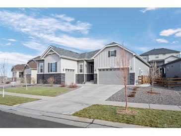 Charming single-Gathering home featuring neutral siding, a well-manicured lawn, and a spacious two-car garage at 20272 Terrace View Dr, Parker, CO 80134