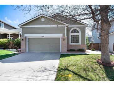 Charming single-Gathering home with a well-manicured lawn and a two-car garage in a desirable neighborhood at 1374 Spotted Owl Way, Highlands Ranch, CO 80129