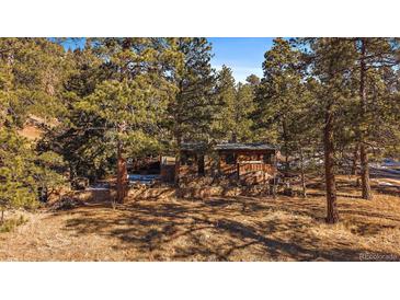 Charming log cabin nestled among the trees, featuring a stone foundation and natural landscaping at 121 Mary Beth Rd, Evergreen, CO 80439