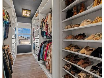 Spacious walk-in closet with custom shelving and a view from the window at 27882 E 9Th Dr, Aurora, CO 80018