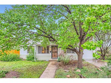 Inviting home showcasing a mature tree, tidy lawn, and a paved walkway leading up to the welcoming entrance at 6260 W 45Th Pl, Wheat Ridge, CO 80033