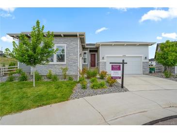 Charming single-story home with stone accents, landscaped yard, and a well-manicured lawn at 5290 Silver Hare Ct, Castle Rock, CO 80104